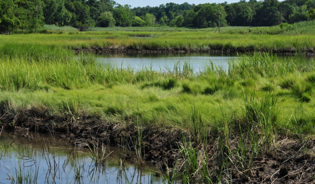 Otter Creek Preserve Westchester Land Trust