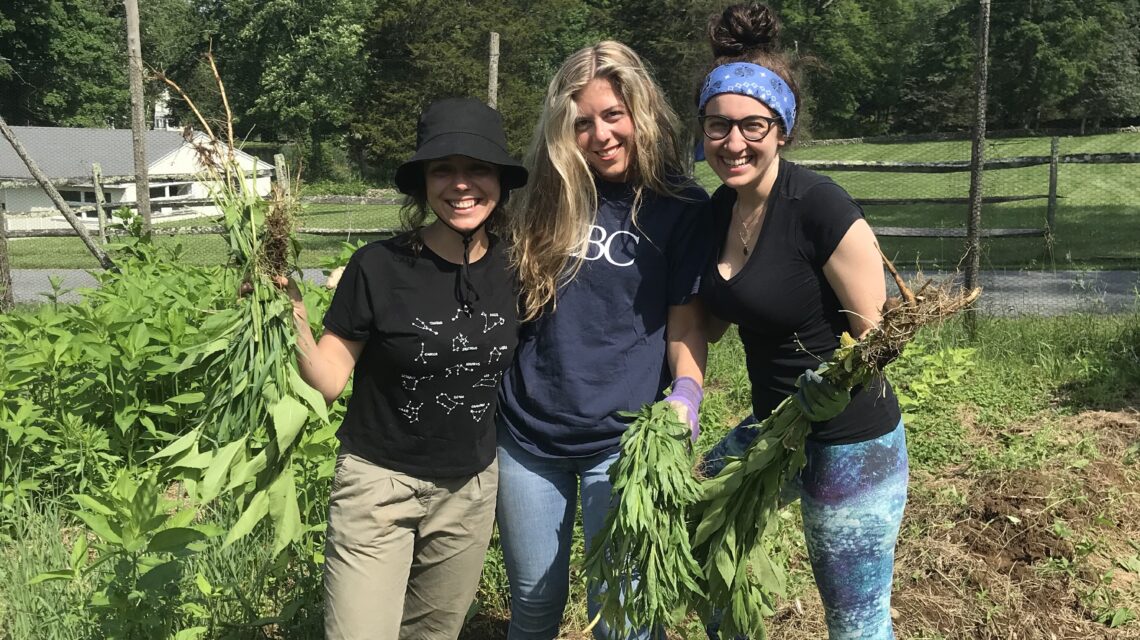 Get Involved - Community Farm Land Trust