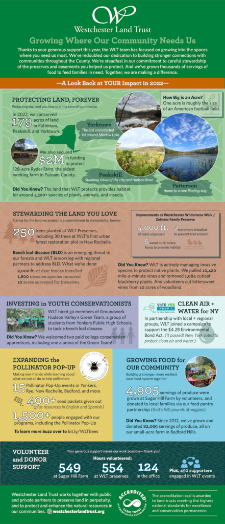 Infographic of WLT's 2022 Work